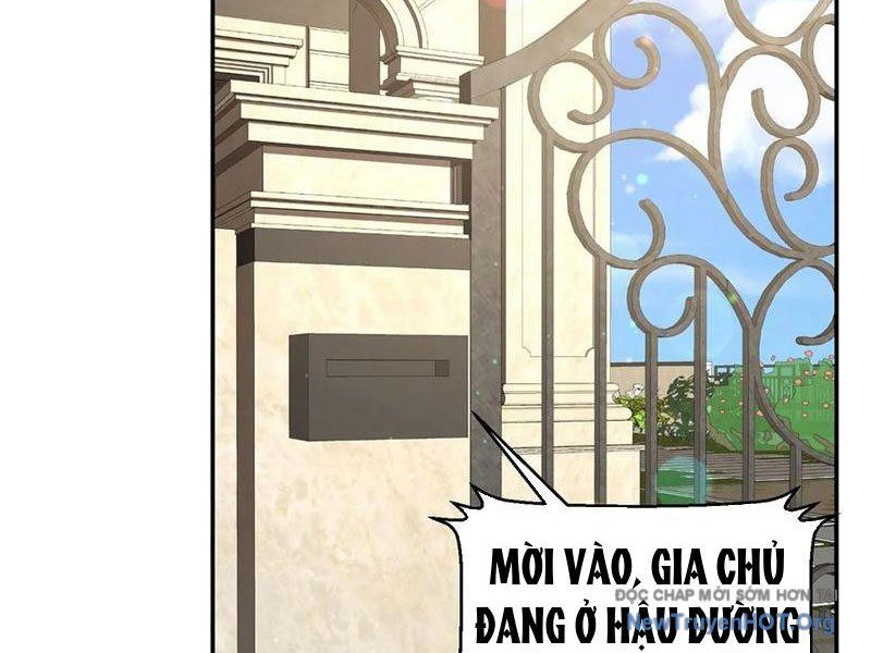 Chuyển Sinh Thành Tra Nam, Ta Giúp Thê Tử Trường Sinh Chapter 26 - 5