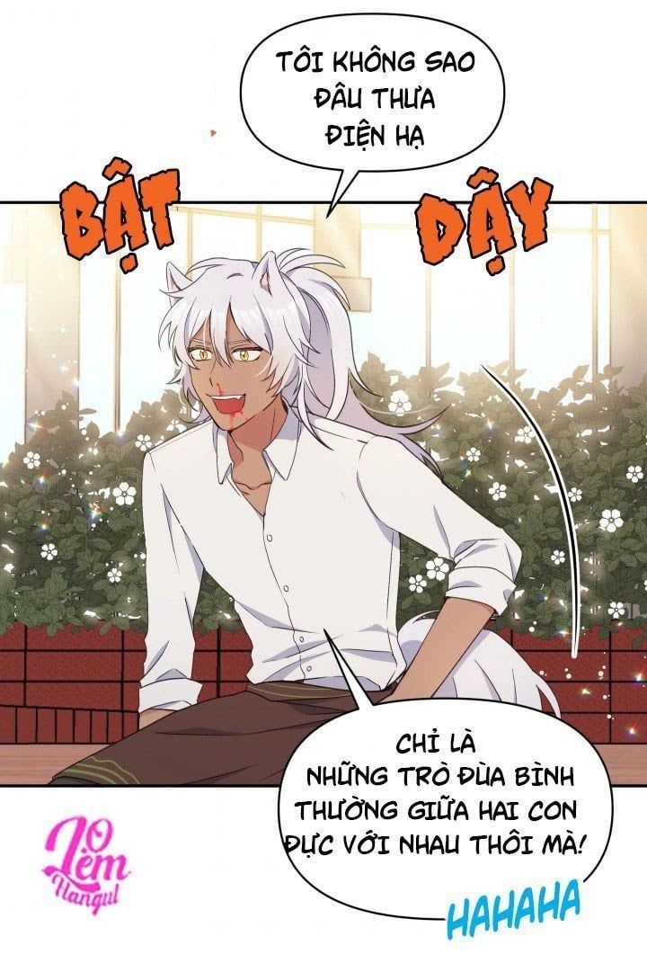 Hộ Vệ Của Bạo Chúa Là Ác Nữ Chapter 22 - 26