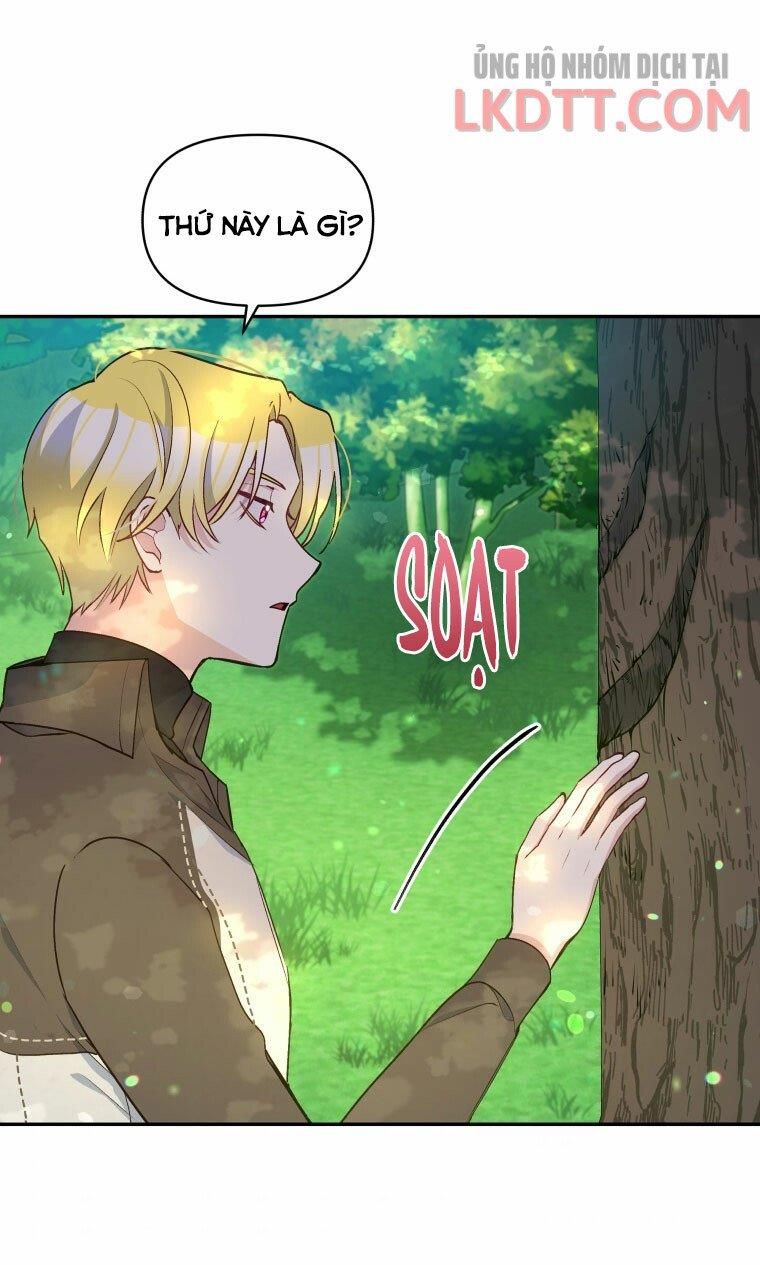 Hộ Vệ Của Bạo Chúa Là Ác Nữ Chapter 47.3 - 17
