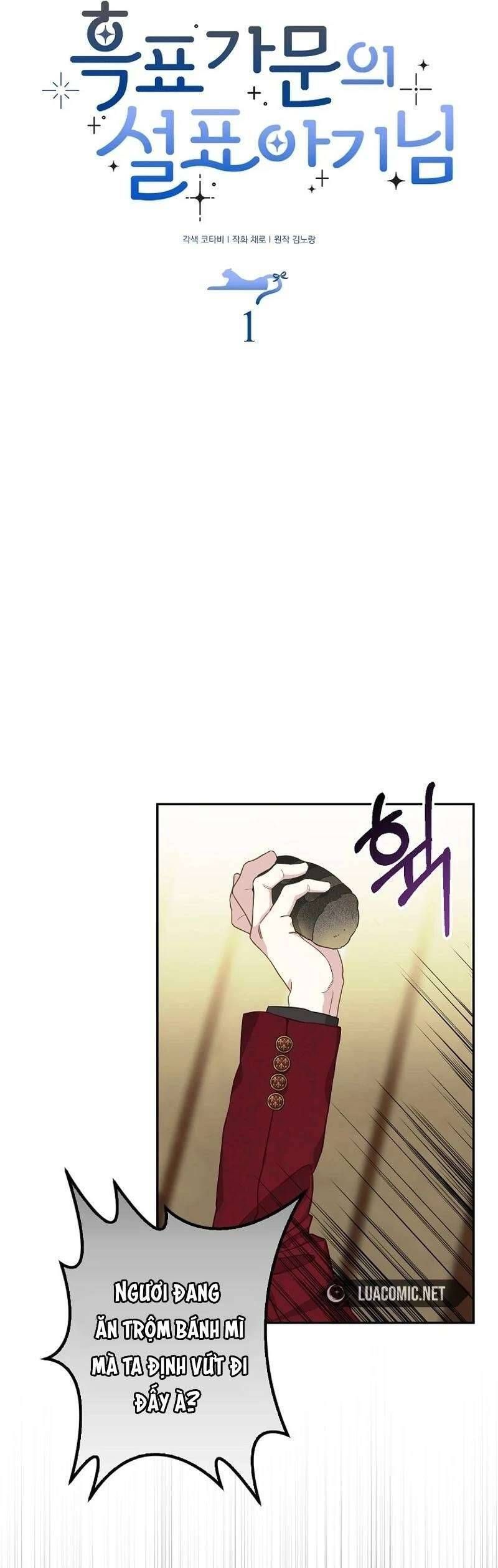 Bé Con Báo Tuyết Của Gia Tộc Báo Đen Chapter 1 - 13