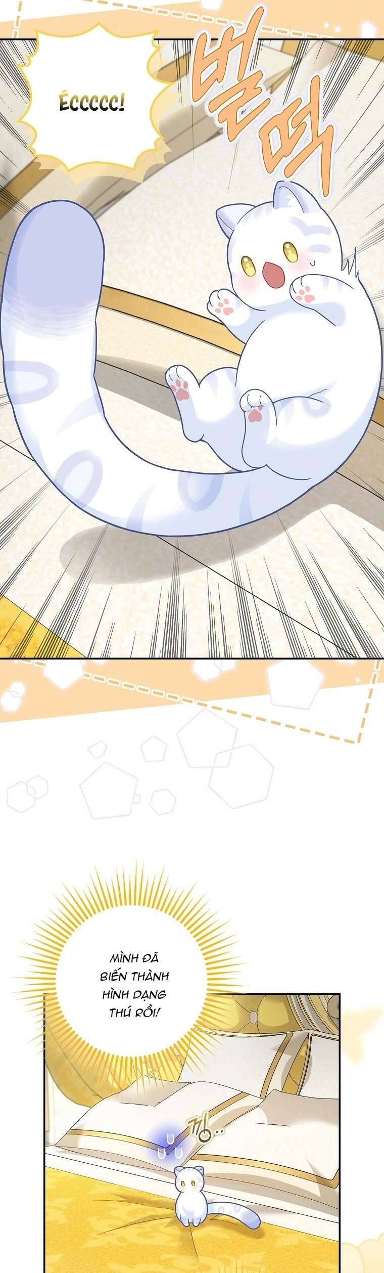 Bé Con Báo Tuyết Của Gia Tộc Báo Đen Chapter 21 - 16
