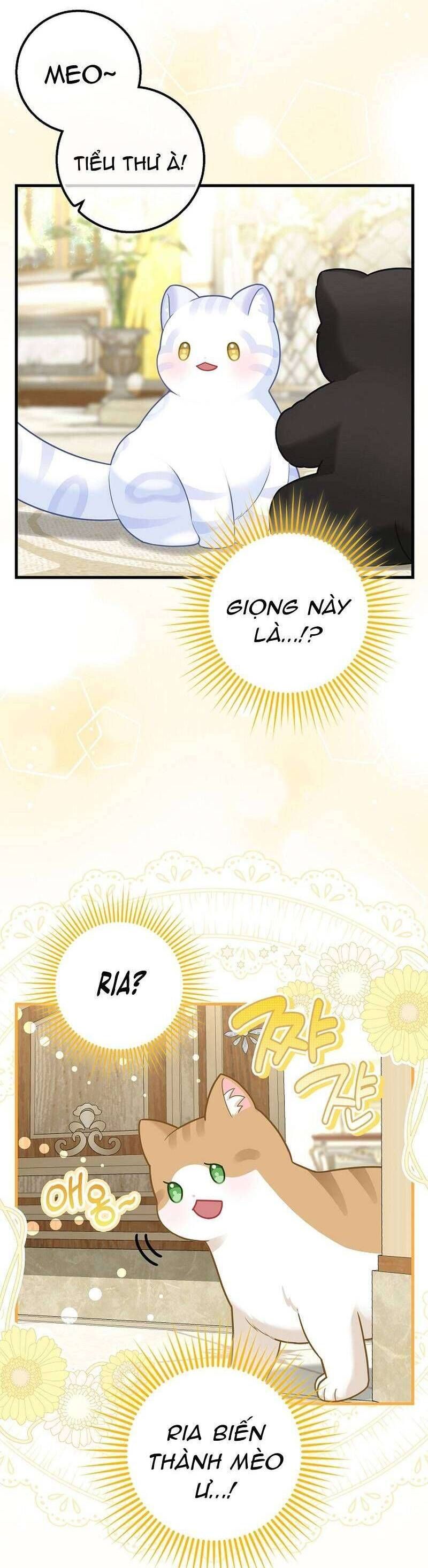 Bé Con Báo Tuyết Của Gia Tộc Báo Đen Chapter 26 - 2