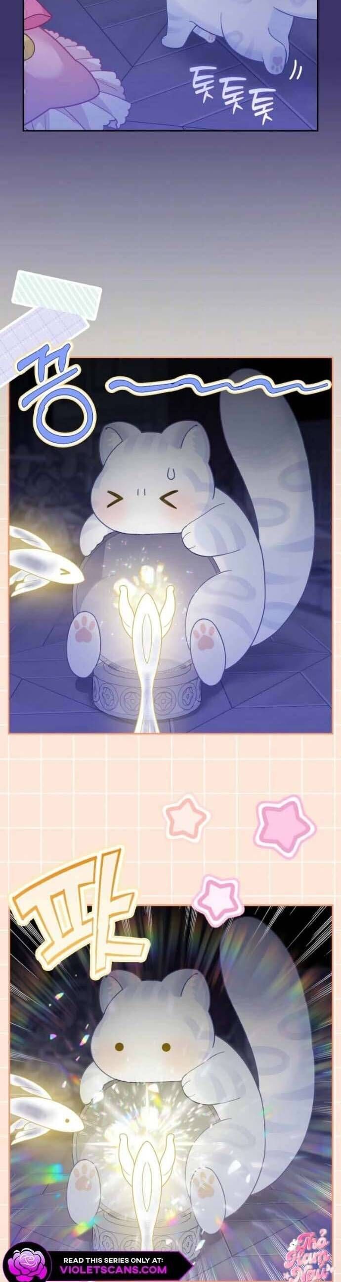 Bé Con Báo Tuyết Của Gia Tộc Báo Đen Chapter 41 - 29