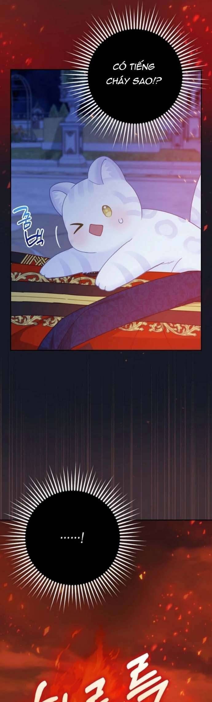 Bé Con Báo Tuyết Của Gia Tộc Báo Đen Chapter 41 - 10