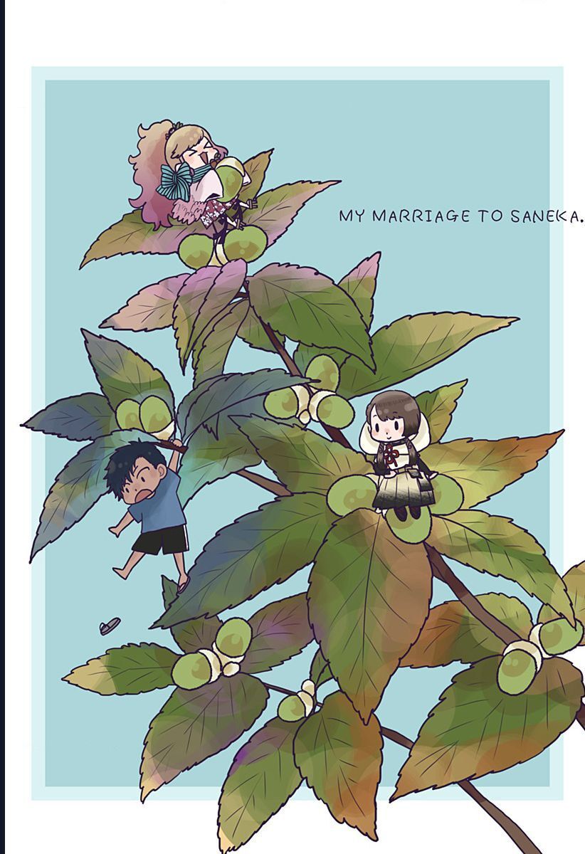 Saneka No Yomeiri Chapter 14.5 - 3