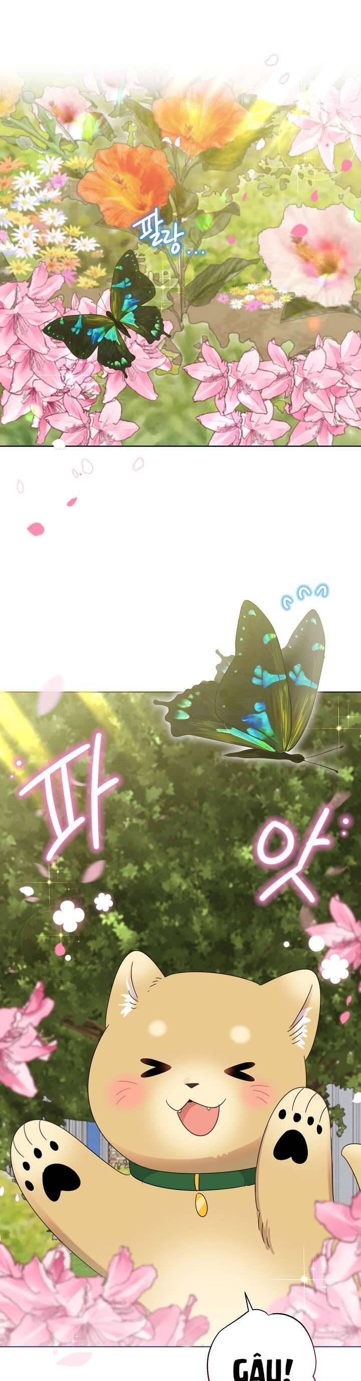 Anh Ơi, Em Có Dễ Thương Không? Chapter 40 - 2