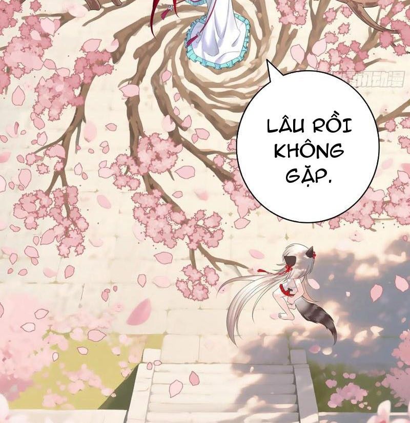 Sau Khi Mẹ Bị Giết, Tôi Trở Thành Miêu Nương Chapter 29 - 19