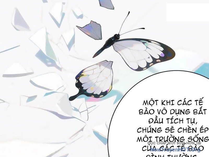 Sau Khi Mẹ Bị Giết, Tôi Trở Thành Miêu Nương Chapter 40 - 19