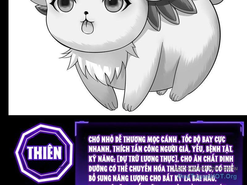 Sau Khi Mẹ Bị Giết, Tôi Trở Thành Miêu Nương Chapter 40 - 51