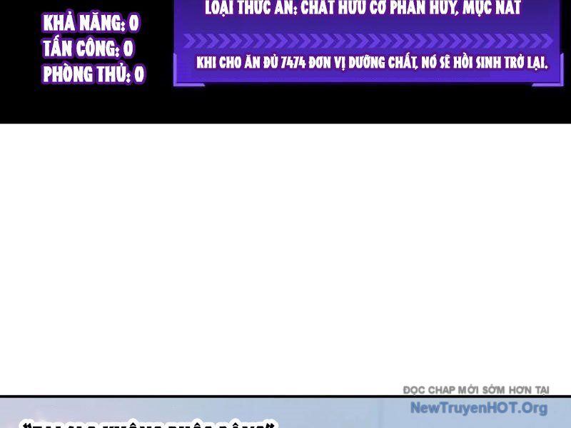 Sau Khi Mẹ Bị Giết, Tôi Trở Thành Miêu Nương Chapter 40 - 52