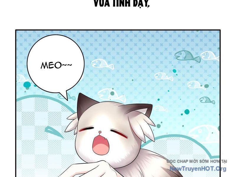 Sau Khi Mẹ Bị Giết, Tôi Trở Thành Miêu Nương Chapter 41 - 30