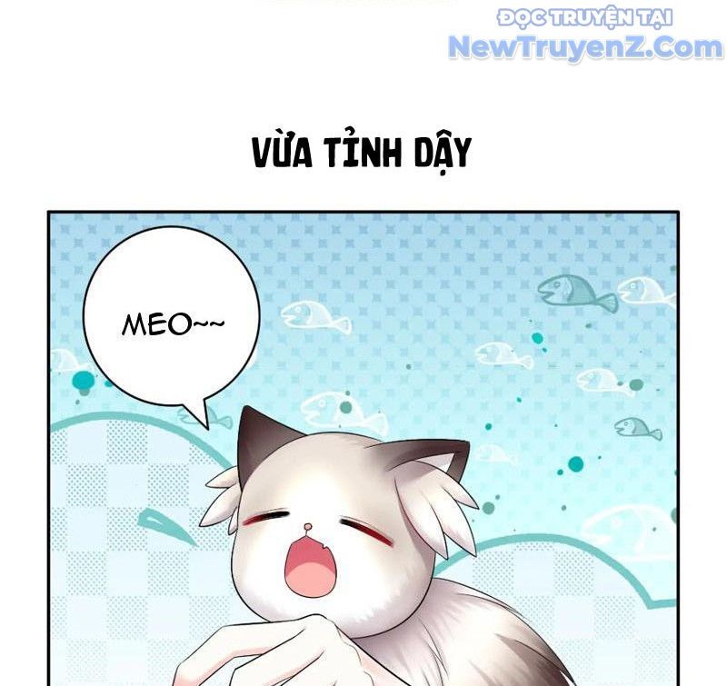 Sau Khi Mẹ Bị Giết, Tôi Trở Thành Miêu Nương Chapter 9 - 26