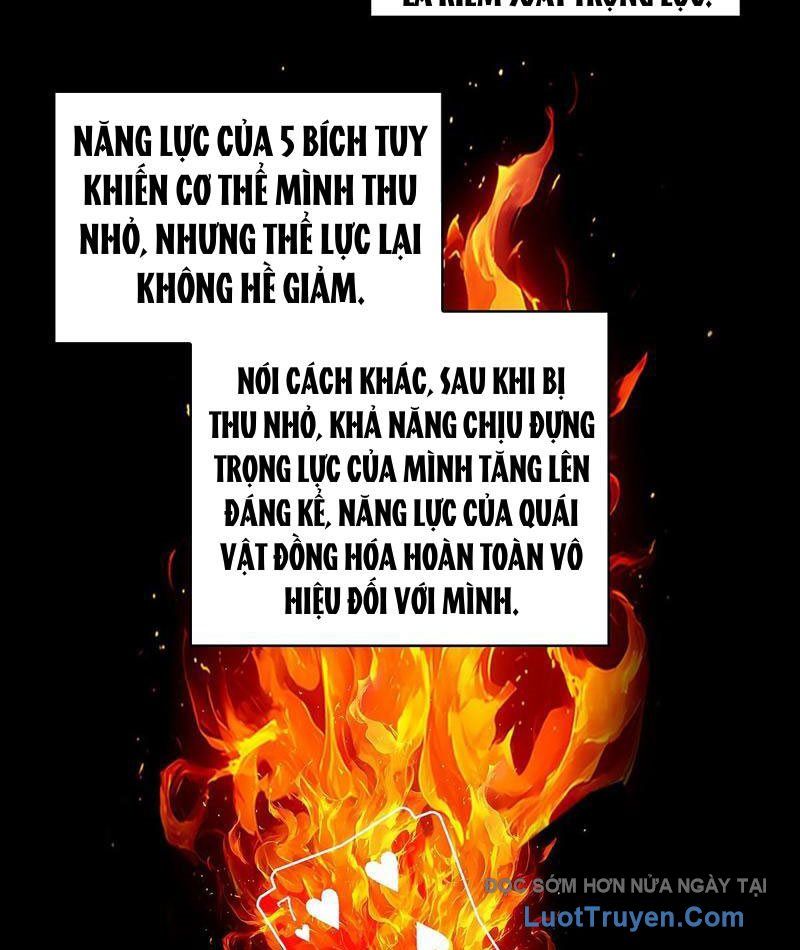 Vương Tạc Chapter 20 - 49