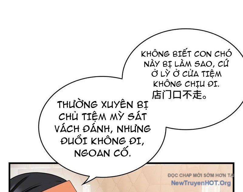 Hóa Ra Ta Là Đời Sau Của Yêu Quái Chapter 21 - 14