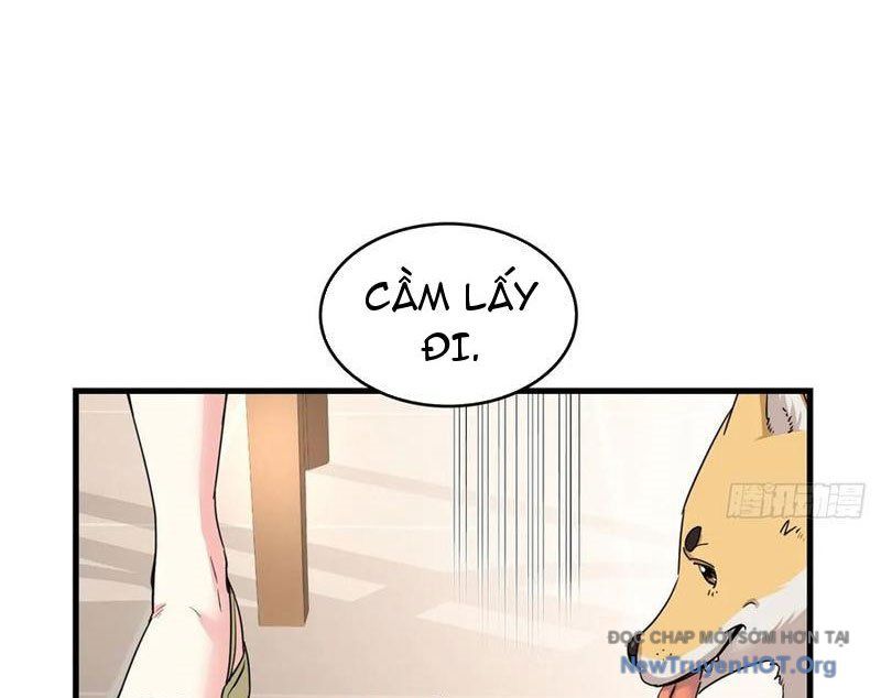 Hóa Ra Ta Là Đời Sau Của Yêu Quái Chapter 21 - 9