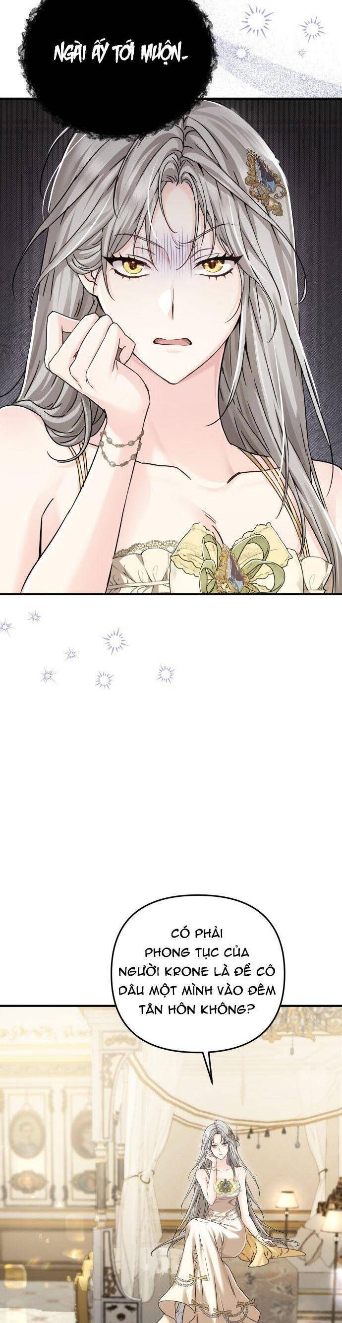 Trên Danh Nghĩa Vợ Chồng Chapter 1 - 22