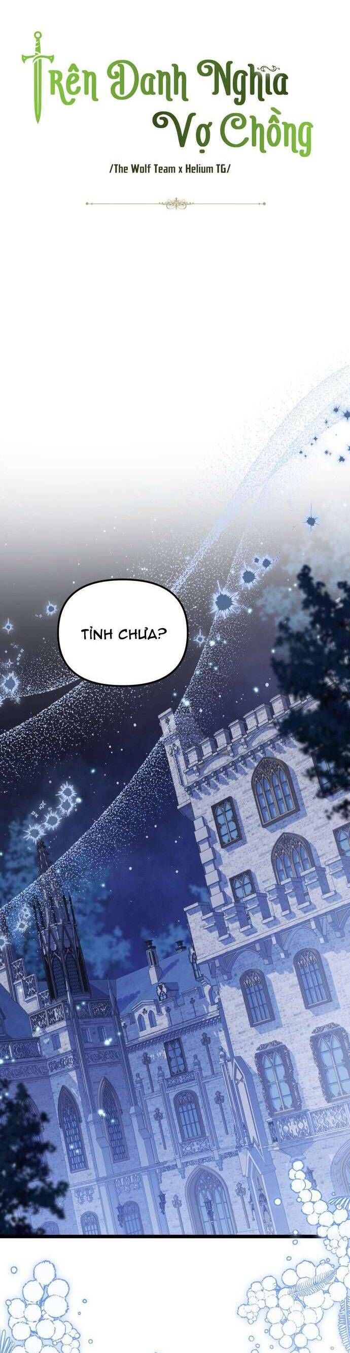 Trên Danh Nghĩa Vợ Chồng Chapter 12 - 8