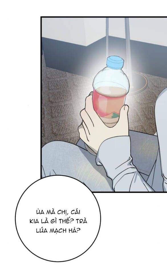 Quy Luật Về Rác Rưởi Chapter 24 - 30