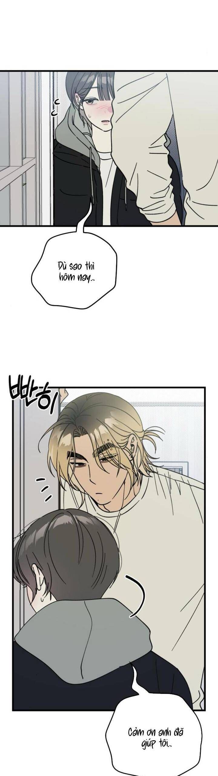 Quy Luật Về Rác Rưởi Chapter 4 - 13