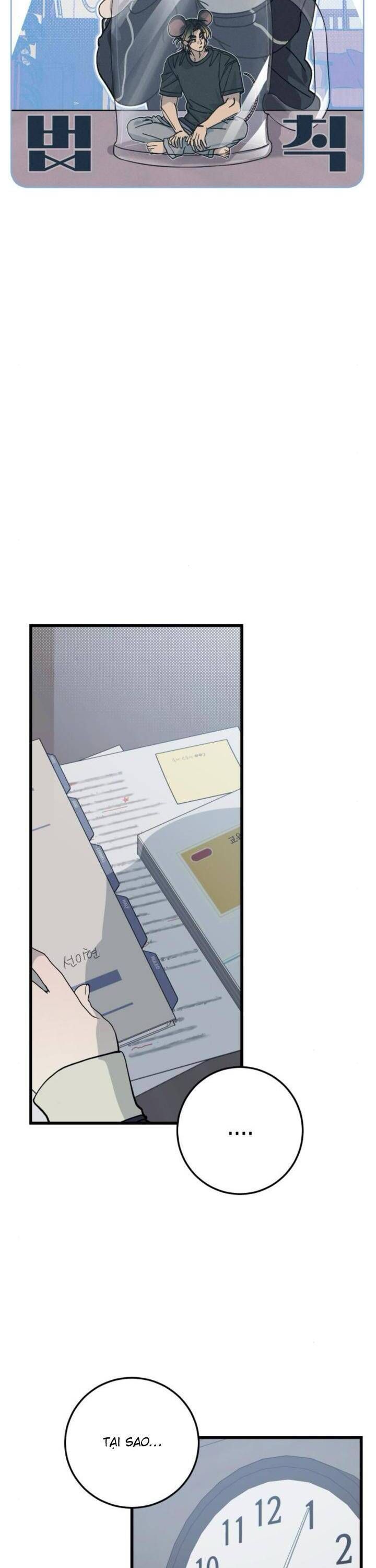 Quy Luật Về Rác Rưởi Chapter 6 - 5