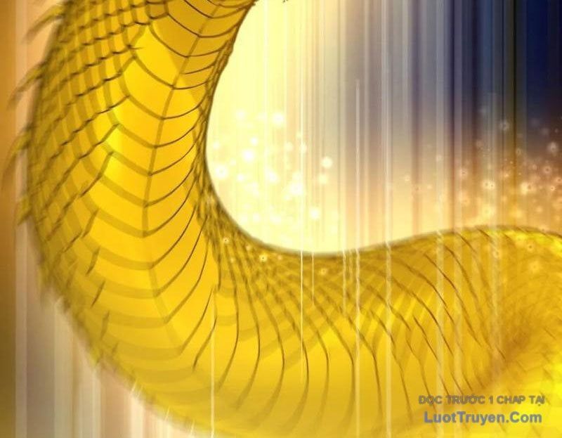 Sau Khi Đầu Thai, Ta Được Kẻ Thù Khắc Thành Vô Địch Chapter 15 - 113