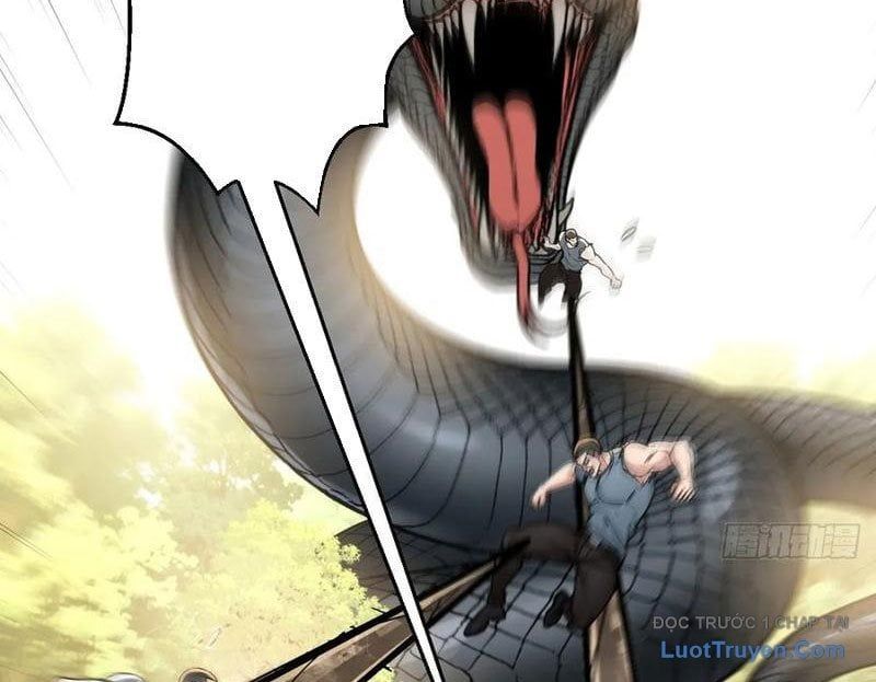 Sau Khi Đầu Thai, Ta Được Kẻ Thù Khắc Thành Vô Địch Chapter 15 - 100