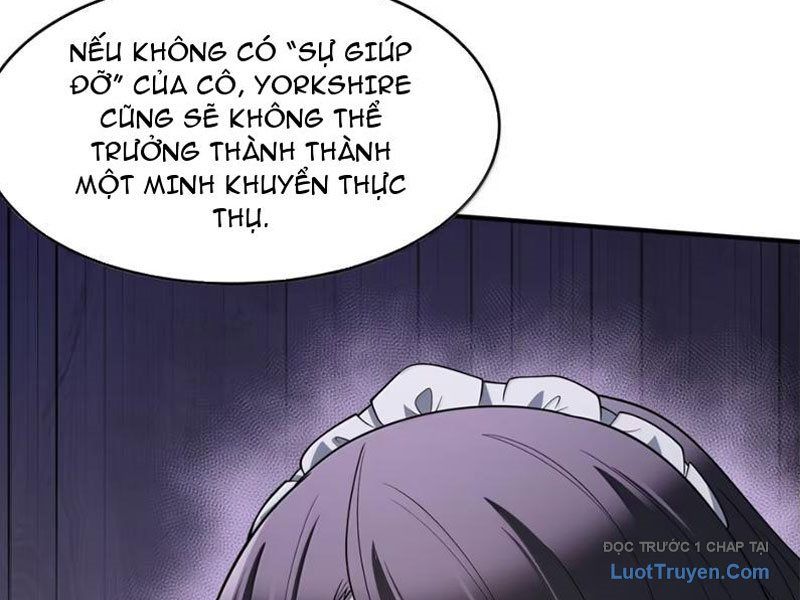 Thuật Sĩ Luyện Kim Tà Ác Không Giải Quyết Được Vật Thí Nghiệm Của Mình Chapter 55 - 164