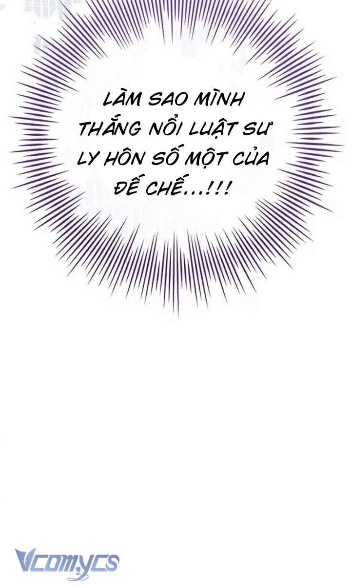 Hãy Để Luật Sư Chuyên Nghiệp Lo Chuyện Ly Hôn Chapter 1 - 17