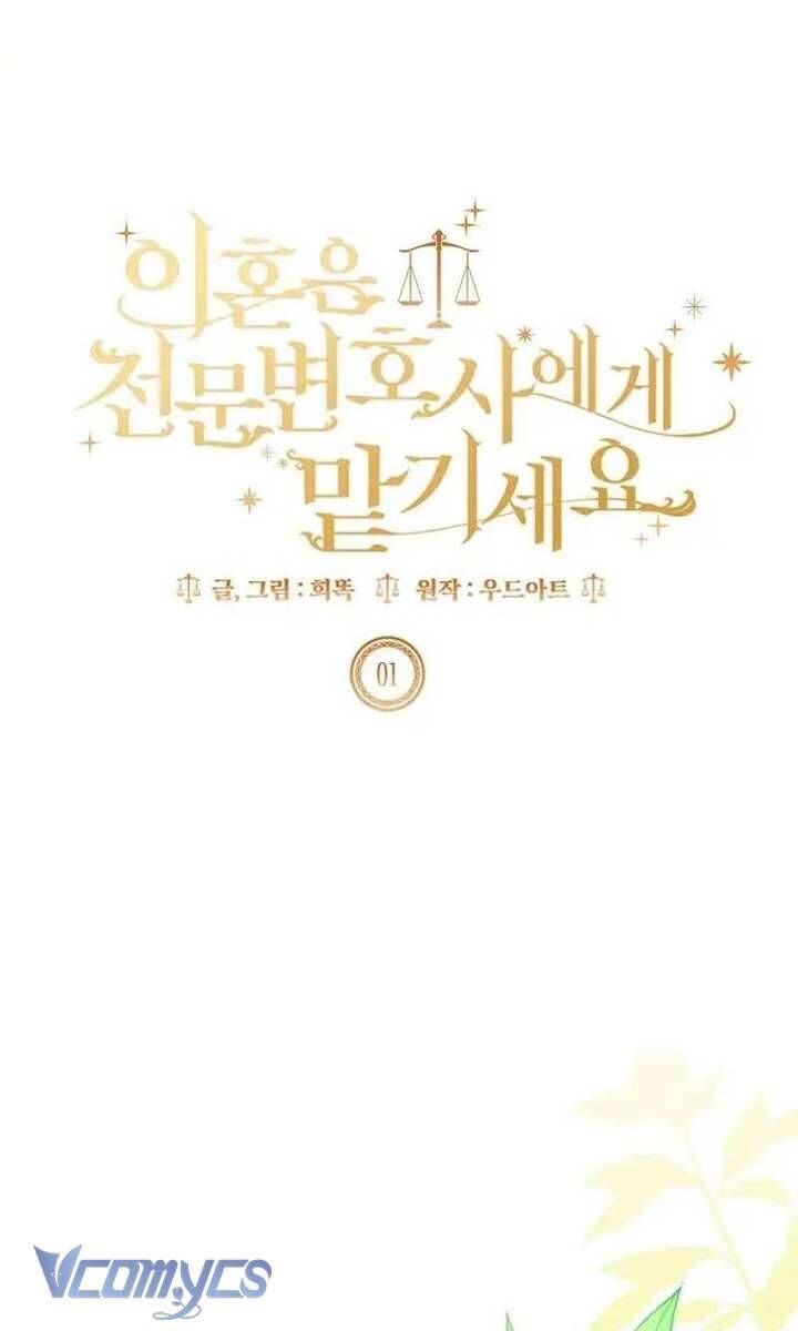 Hãy Để Luật Sư Chuyên Nghiệp Lo Chuyện Ly Hôn Chapter 1 - 18