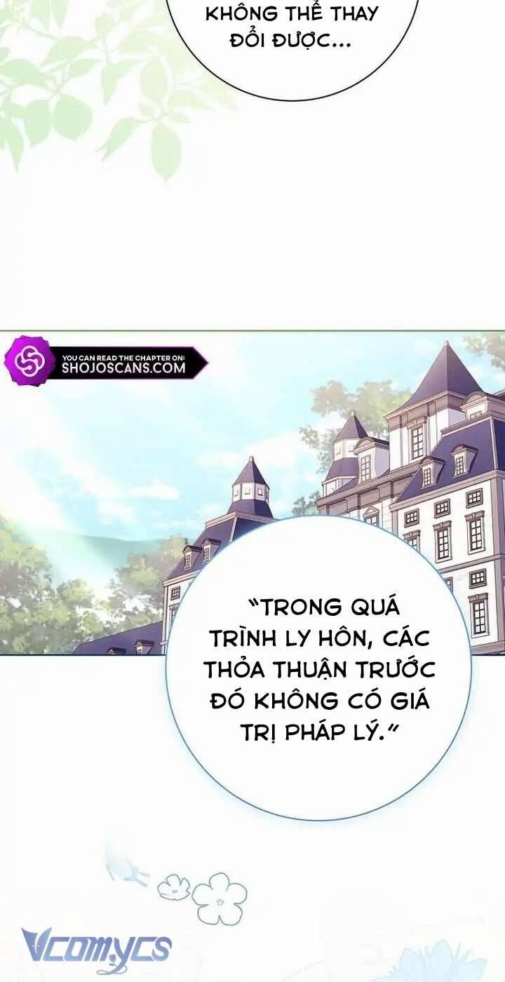 Hãy Để Luật Sư Chuyên Nghiệp Lo Chuyện Ly Hôn Chapter 1 - 28