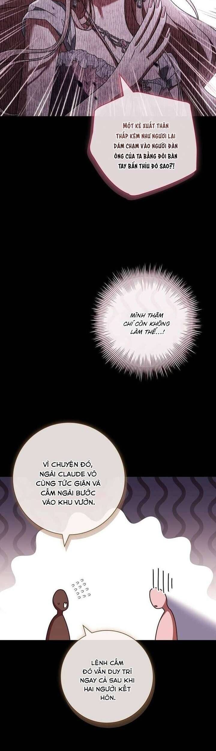 Hãy Để Luật Sư Chuyên Nghiệp Lo Chuyện Ly Hôn Chapter 11 - 24