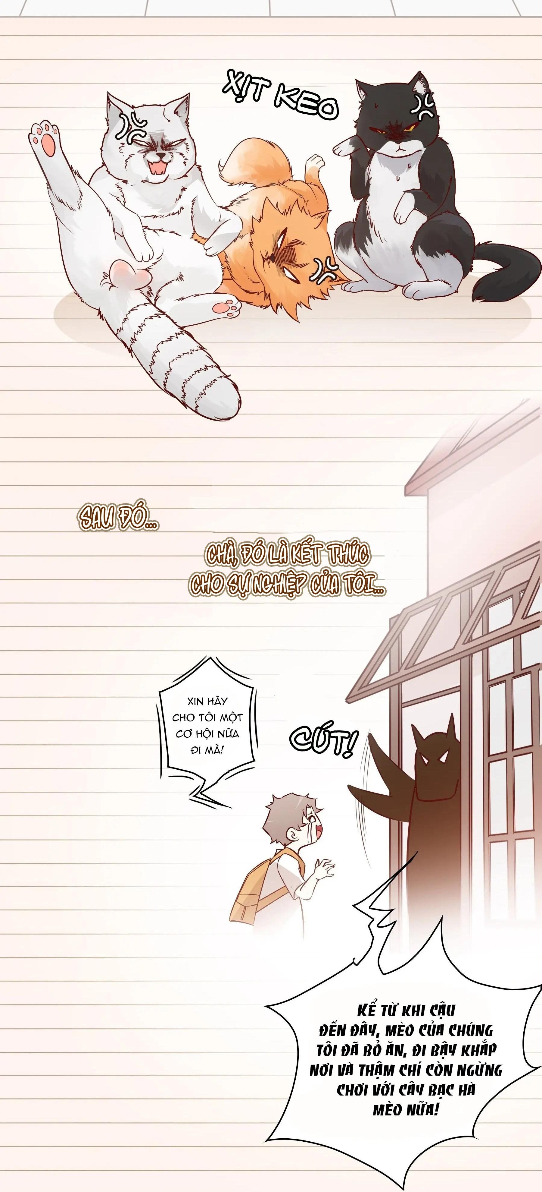 Yêu Em Bất Chấp Chapter 1 - 12