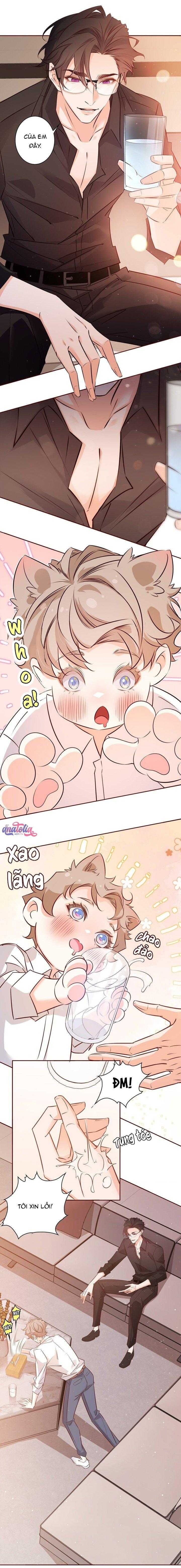 Yêu Em Bất Chấp Chapter 15 - 5