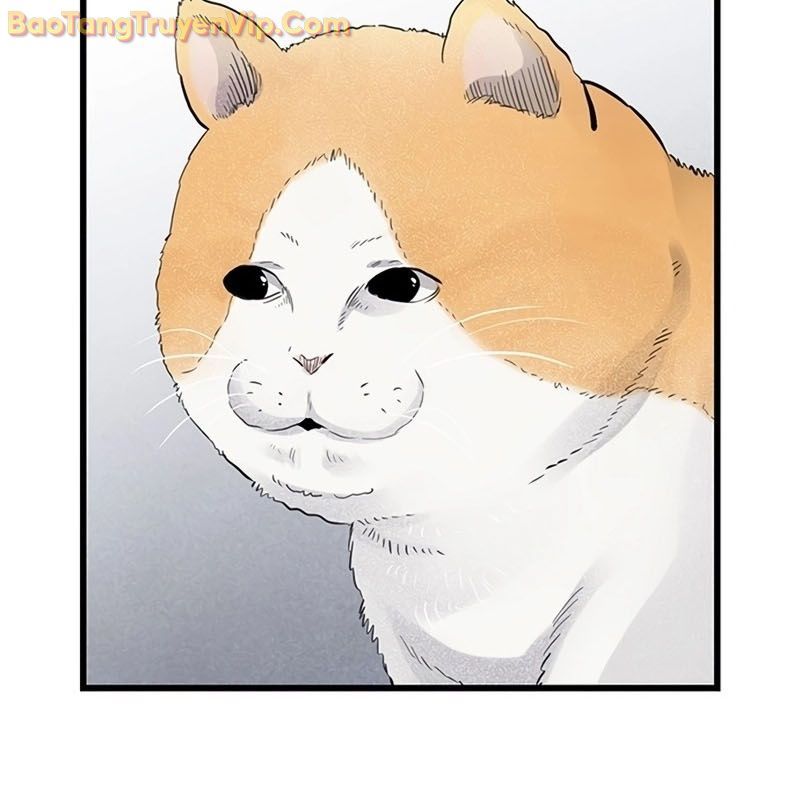 Sự bí ẩn của học sinh chuyển trường Chapter 0 - 3