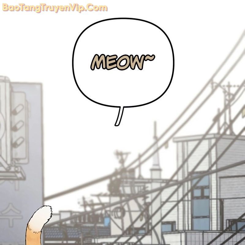 Sự bí ẩn của học sinh chuyển trường Chapter 0 - 5