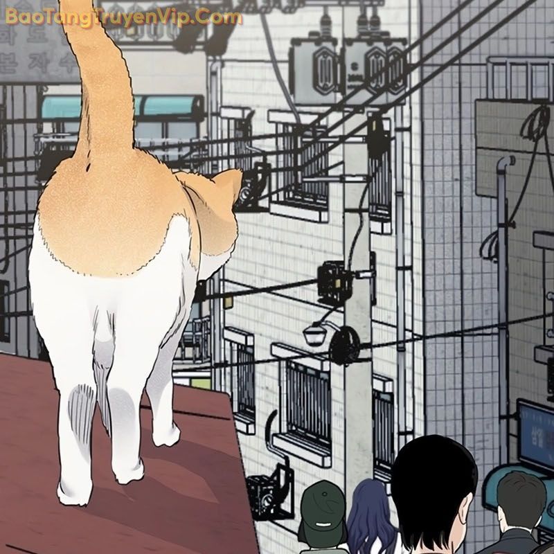 Sự bí ẩn của học sinh chuyển trường Chapter 0 - 6