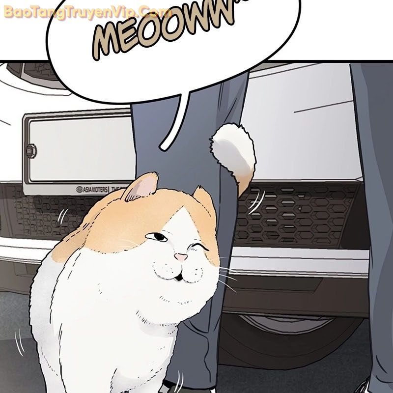 Sự bí ẩn của học sinh chuyển trường Chapter 0 - 51