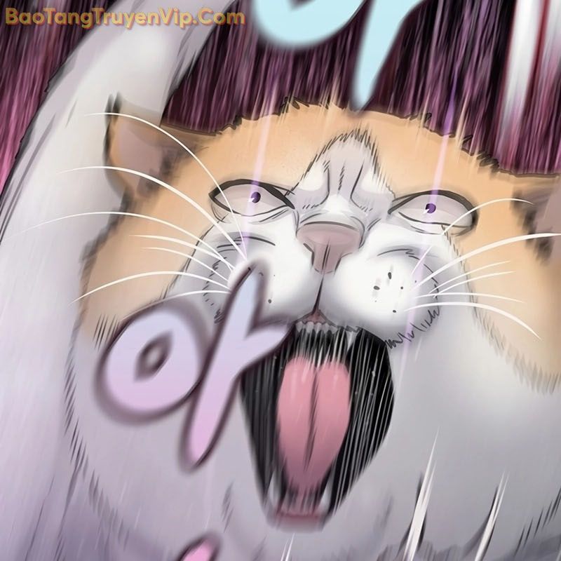 Sự bí ẩn của học sinh chuyển trường Chapter 0 - 87