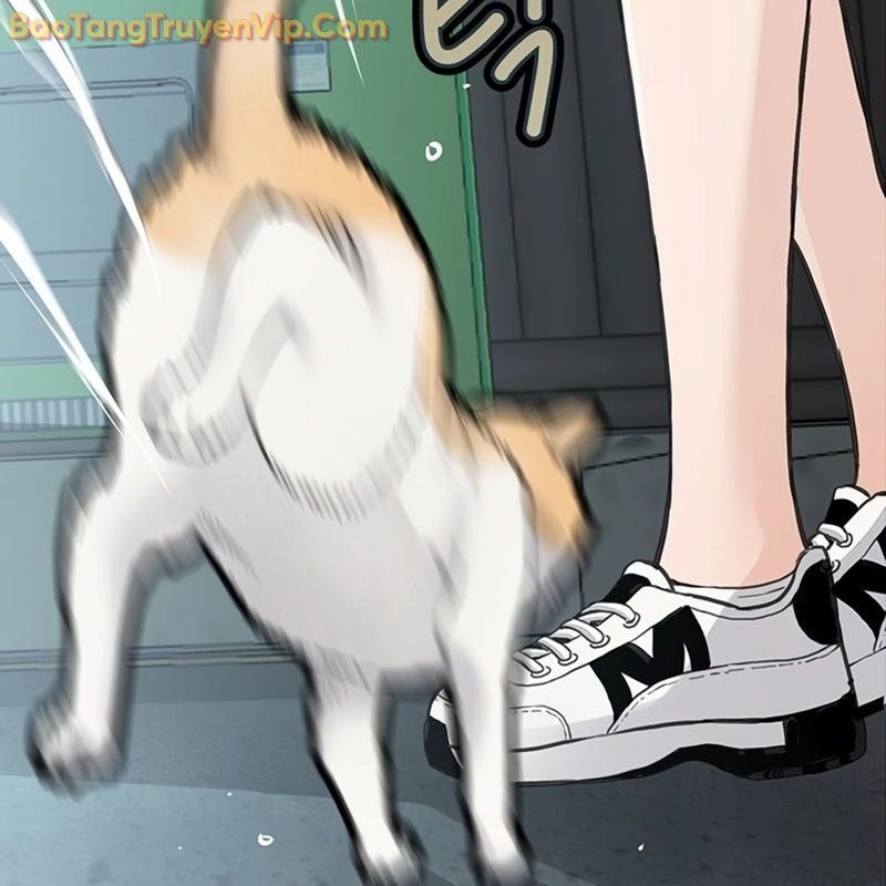 Sự bí ẩn của học sinh chuyển trường Chapter 0 - 93