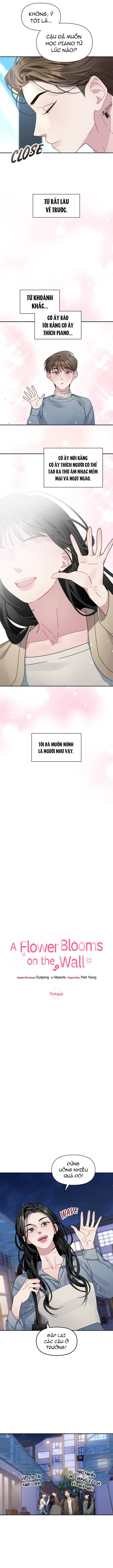 Một Bông Hoa Nở Trên Tường Chapter 1 - 3