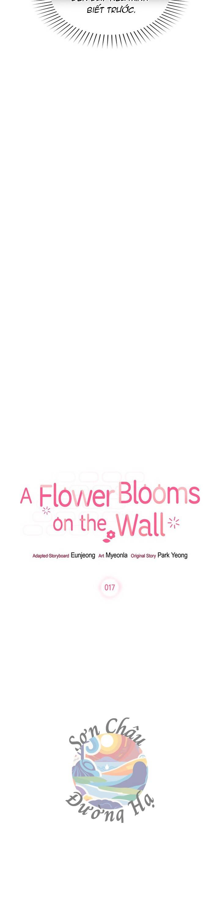 Một Bông Hoa Nở Trên Tường Chapter 17 - 4