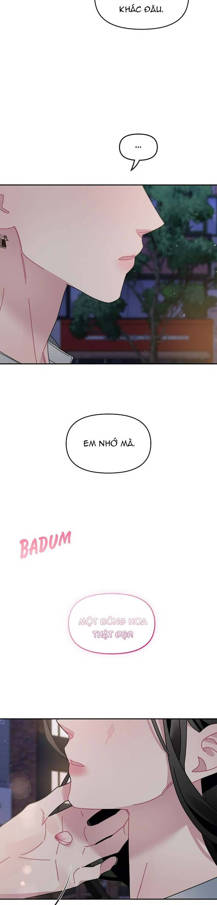 Một Bông Hoa Nở Trên Tường Chapter 19 - 14