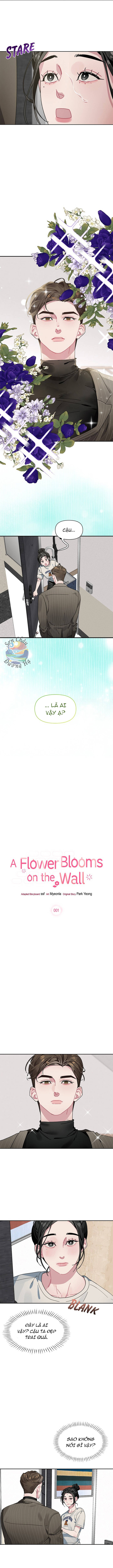 Một Bông Hoa Nở Trên Tường Chapter 2 - 5