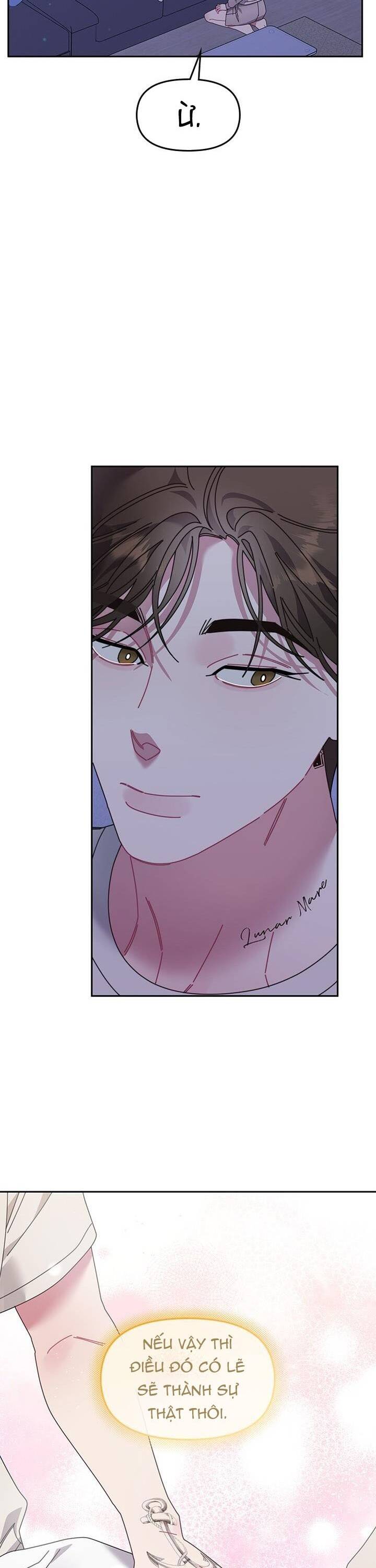 Một Bông Hoa Nở Trên Tường Chapter 23 - 23