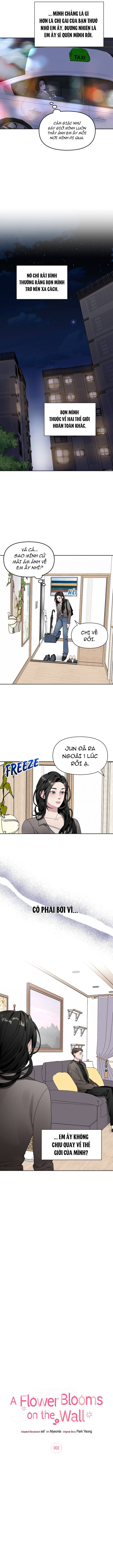 Một Bông Hoa Nở Trên Tường Chapter 3 - 2