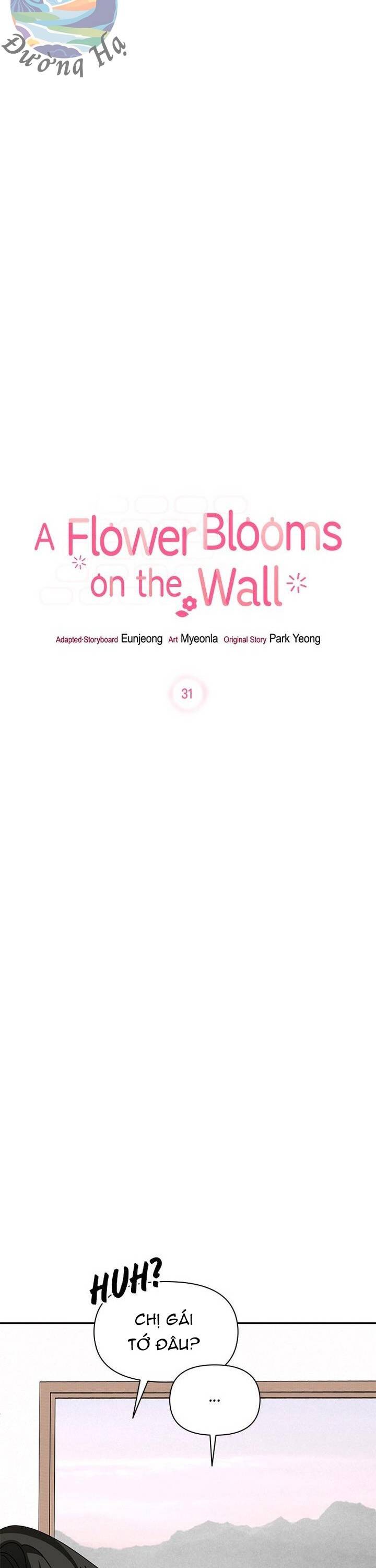 Một Bông Hoa Nở Trên Tường Chapter 31 - 8