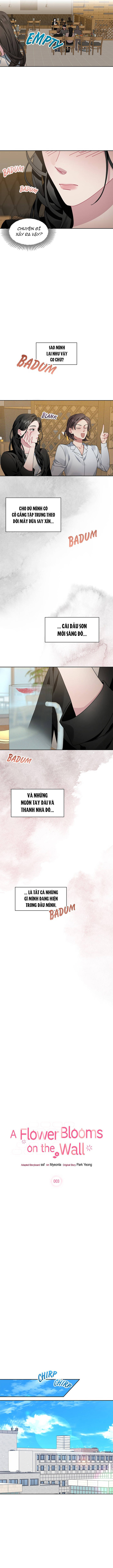 Một Bông Hoa Nở Trên Tường Chapter 4 - 2