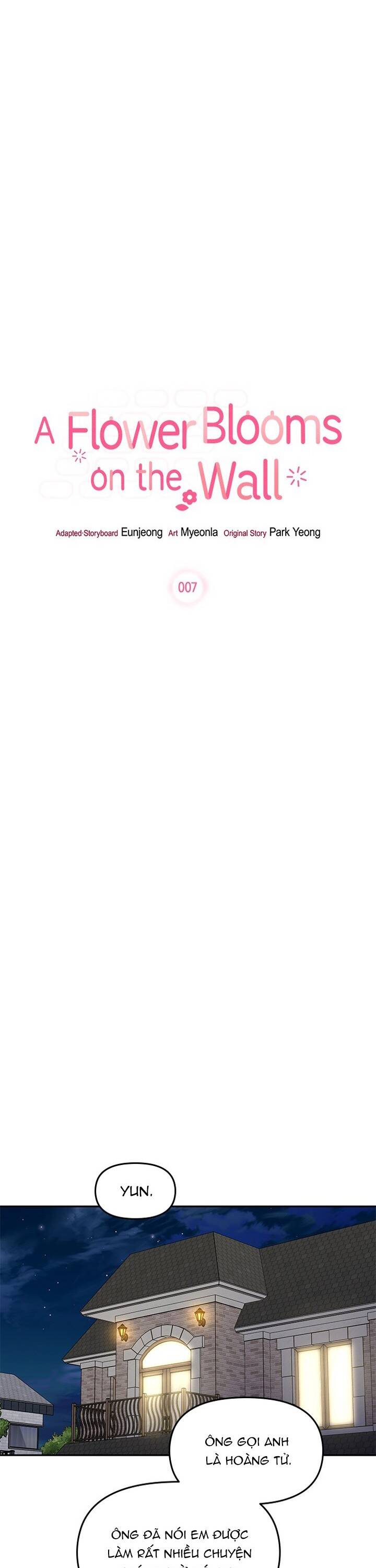Một Bông Hoa Nở Trên Tường Chapter 7 - 21