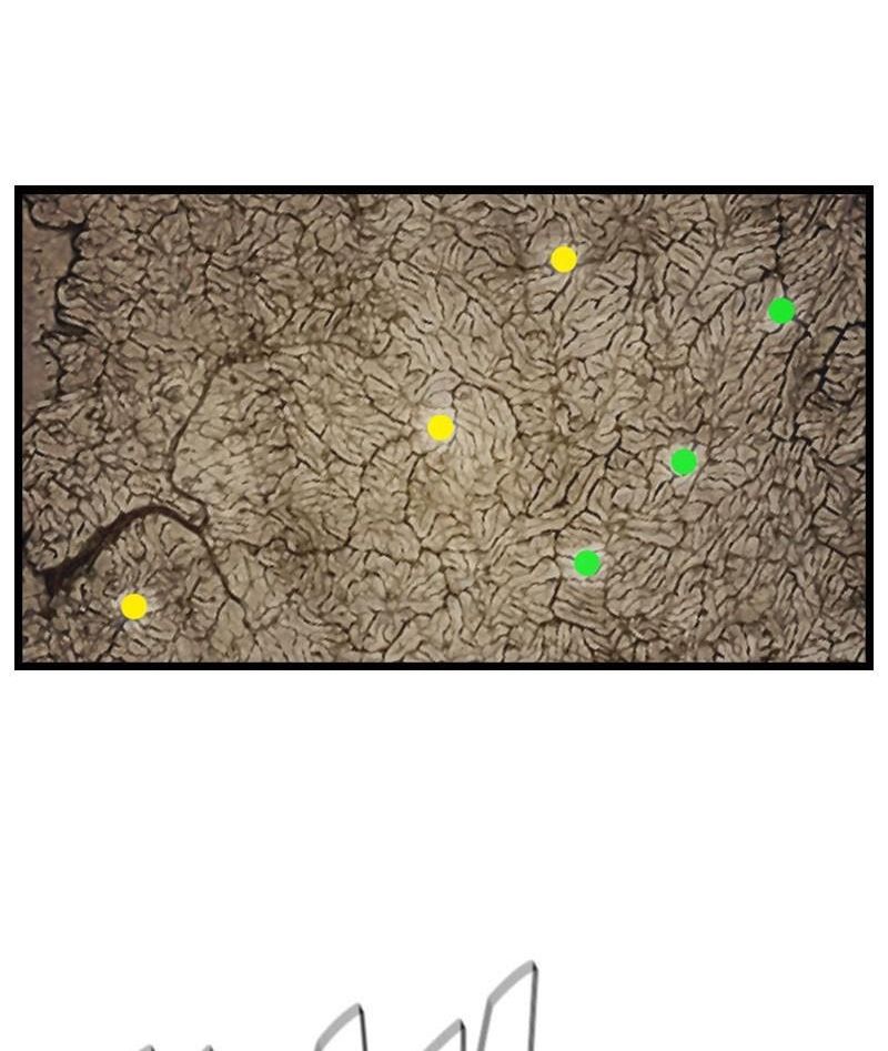 The First Hunter Chapter 59 - 19