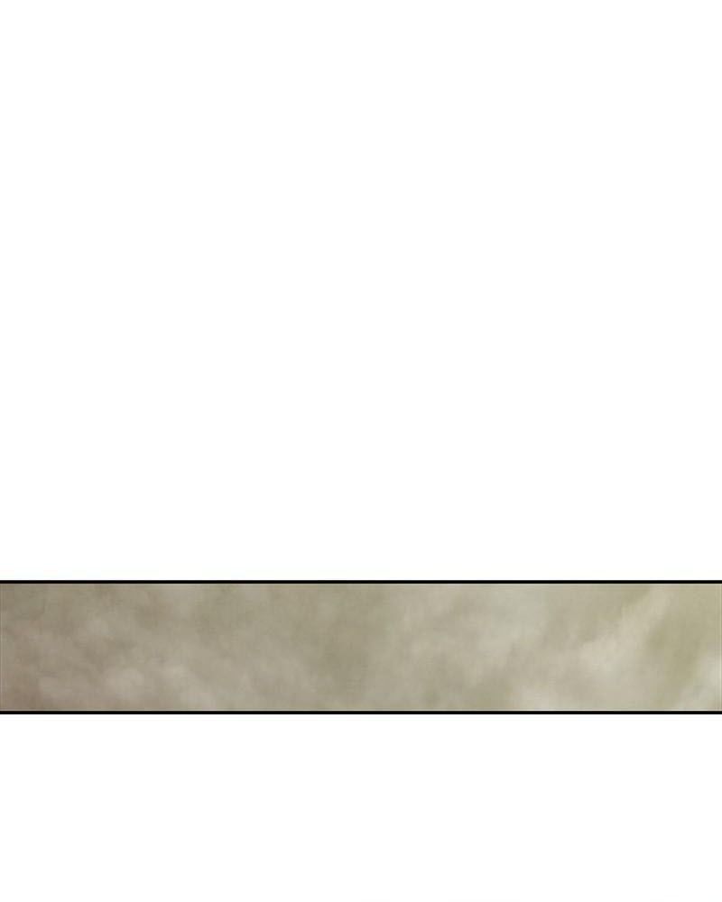 The First Hunter Chapter 96 - 97
